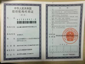 從一萬到三十萬的躍遷 揭秘北京信息技術(shù)咨詢服務的財富密碼